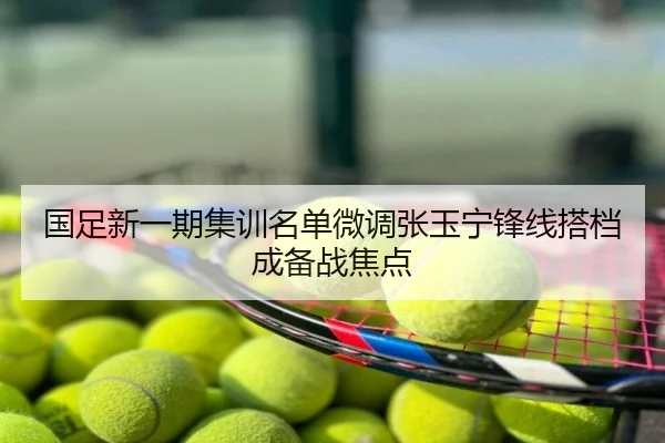 国足新一期集训名单微调张玉宁锋线搭档成备战焦点